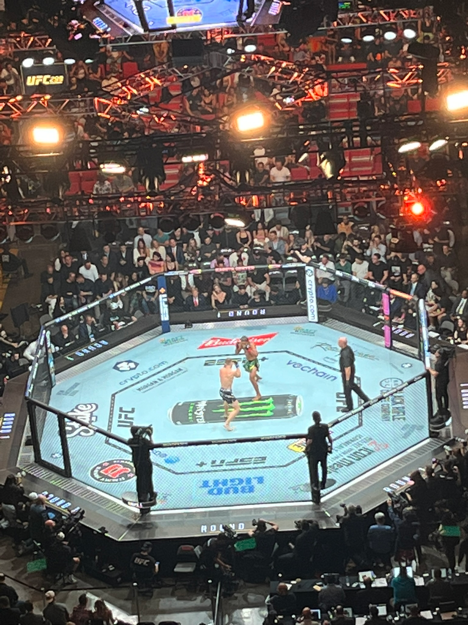 MMA Fight